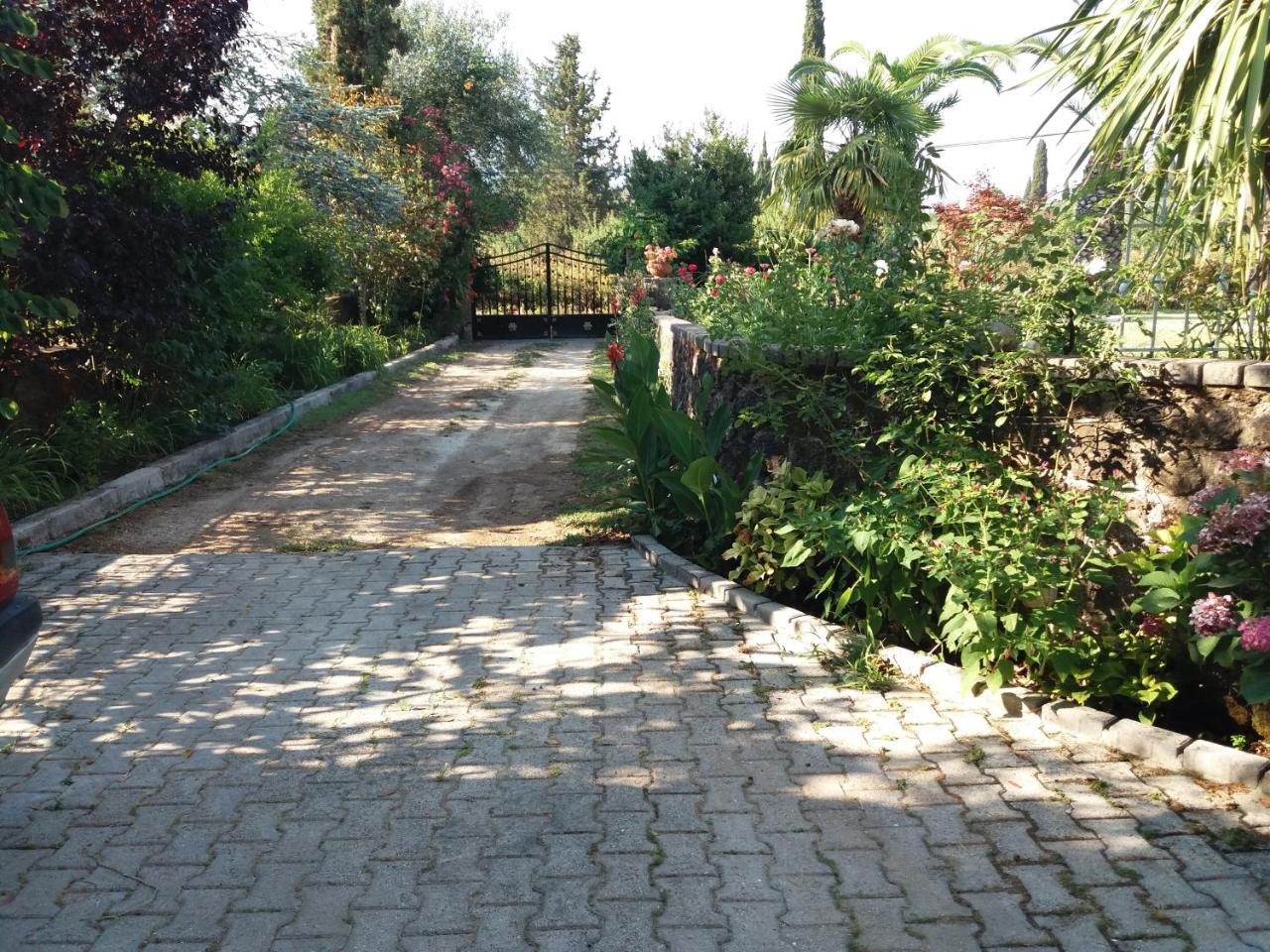 جوفيا Villa Atalanti المظهر الخارجي الصورة